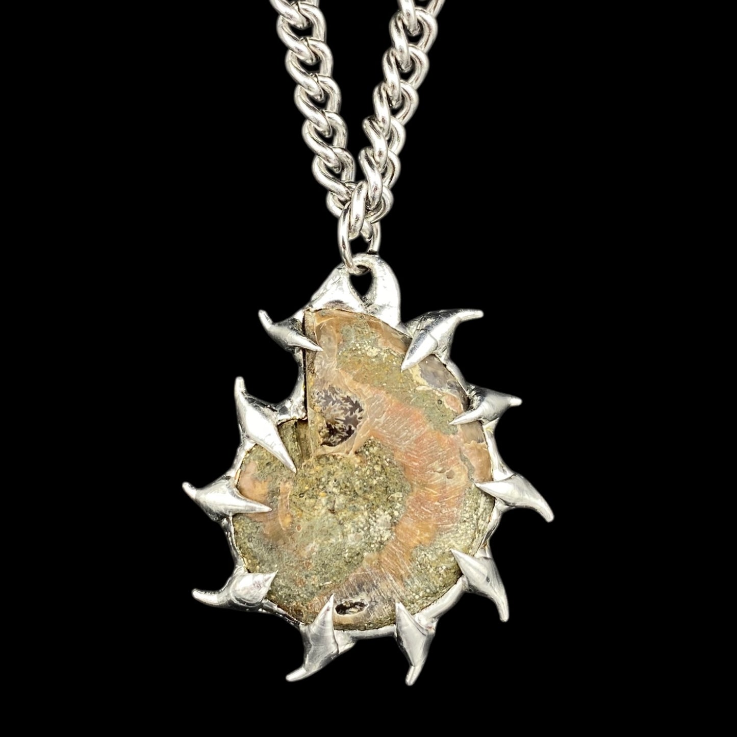 Ammonites Bajamar