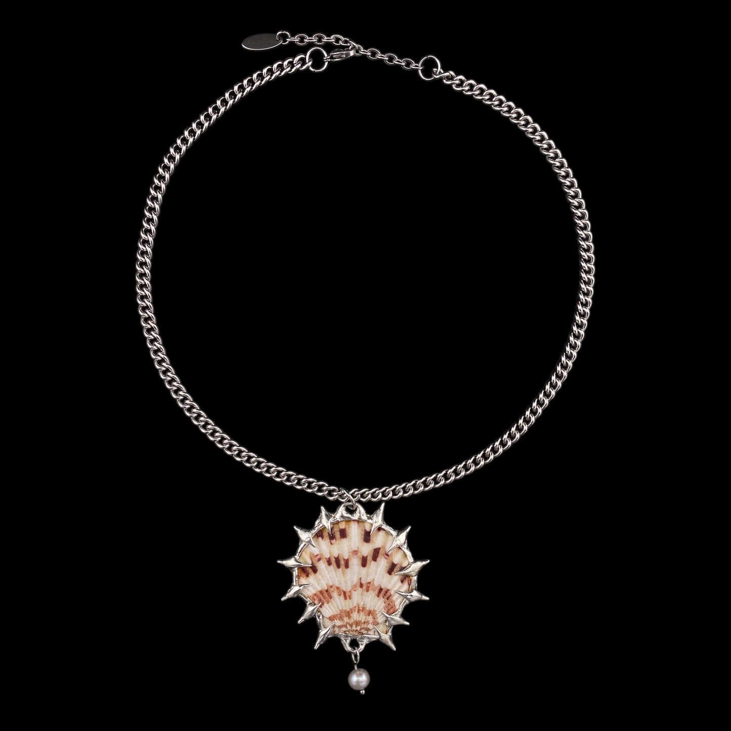 Concha Caribe