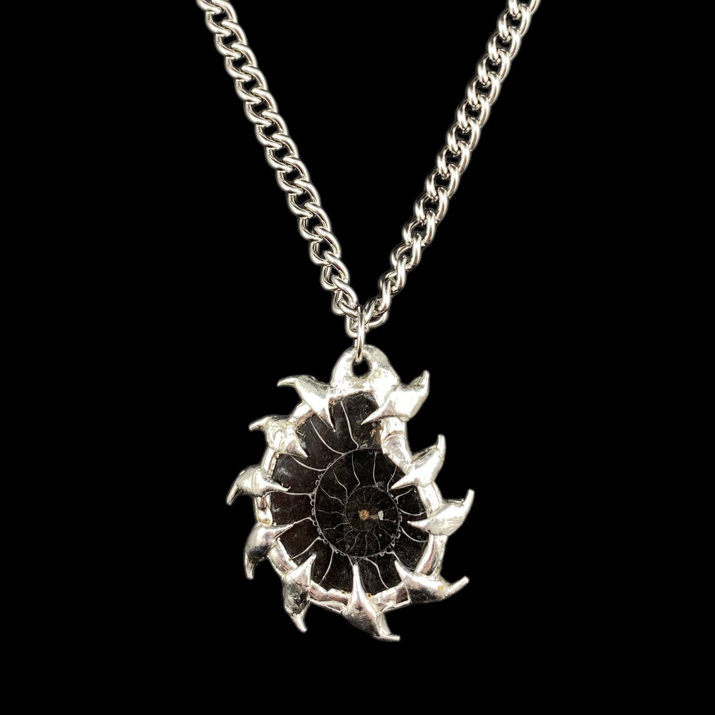 Ammonites Abisal