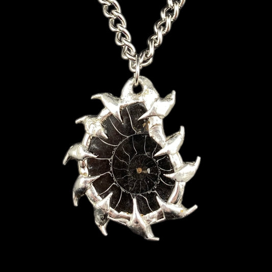 Ammonites Abisal
