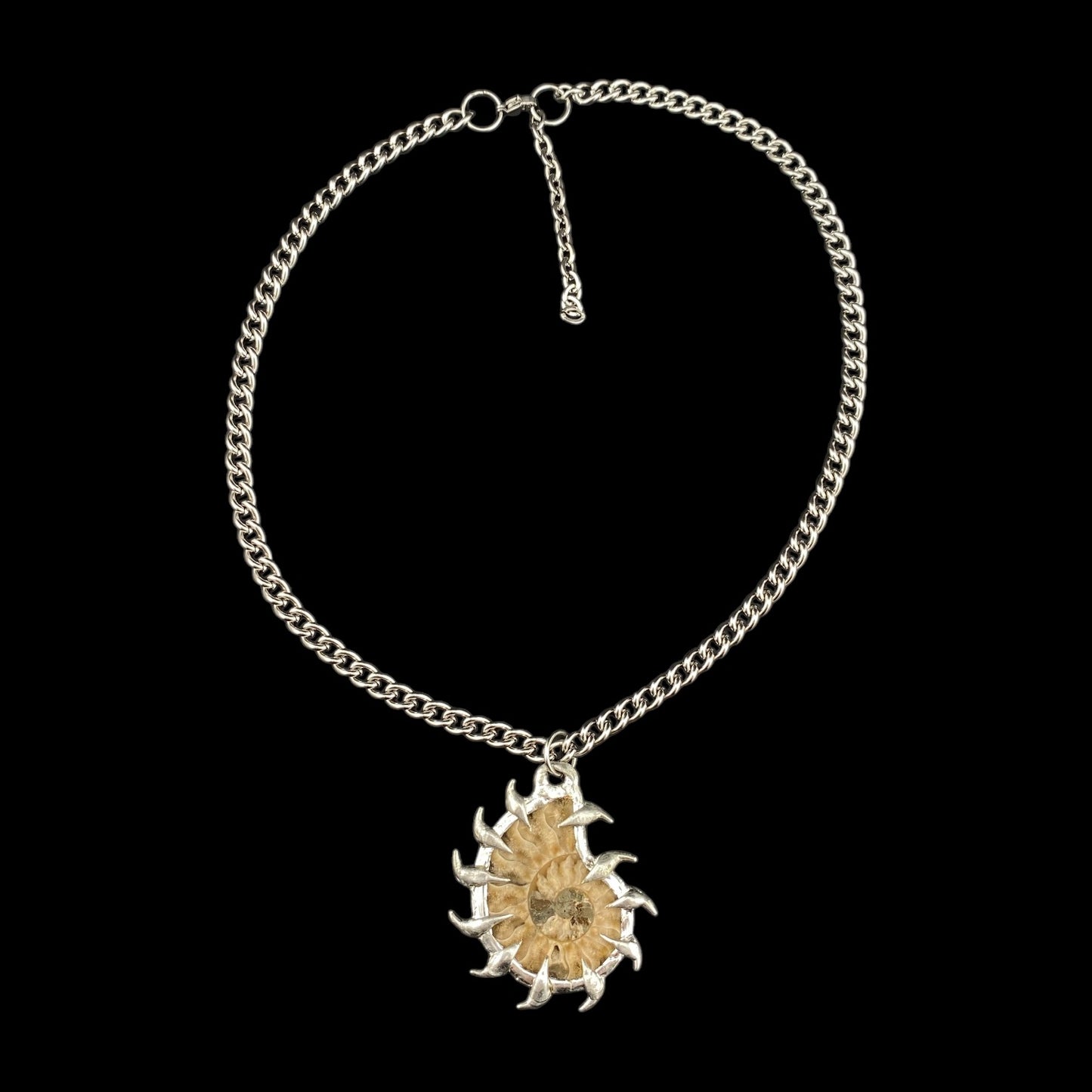 Ammonites Litoral