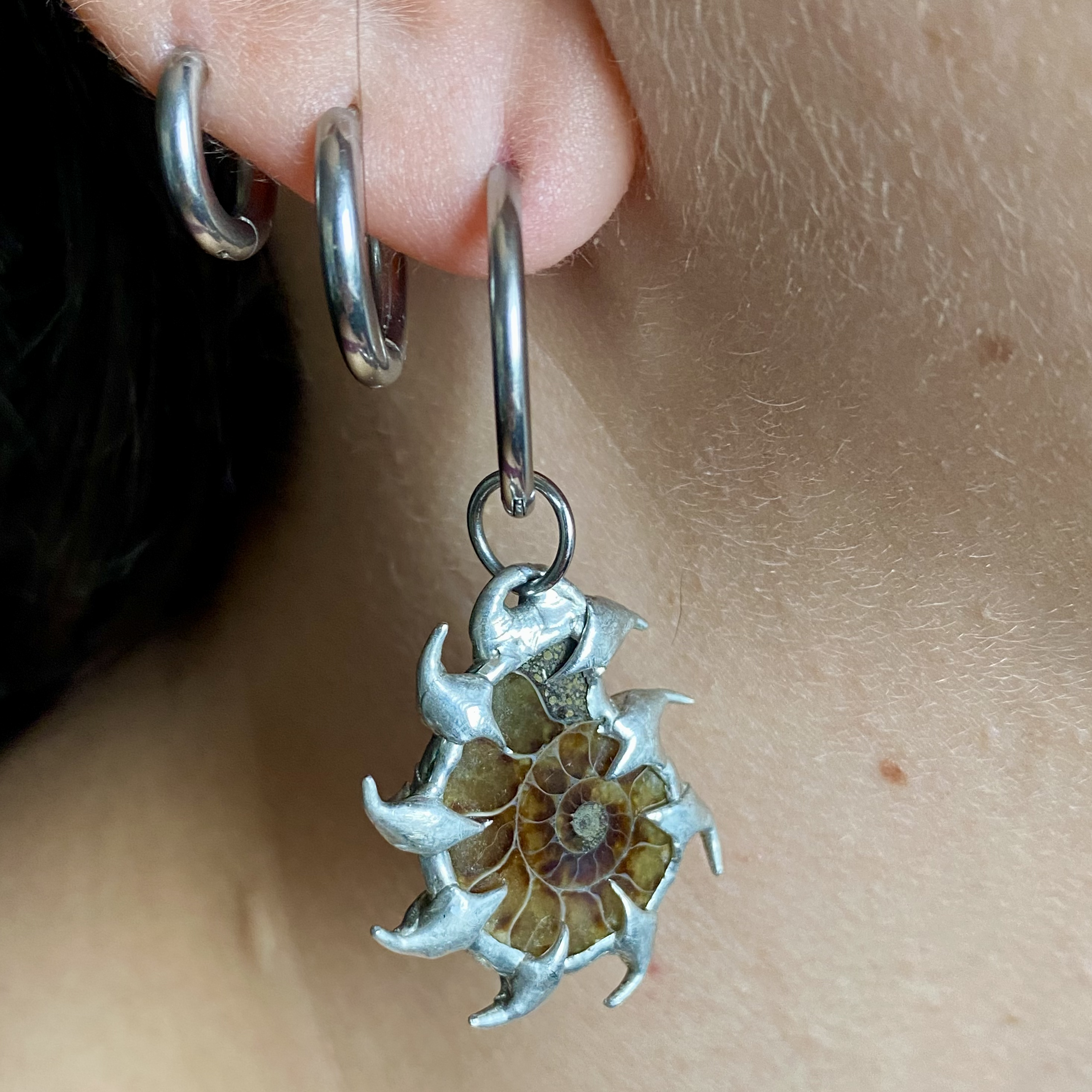 Combo Ammonites