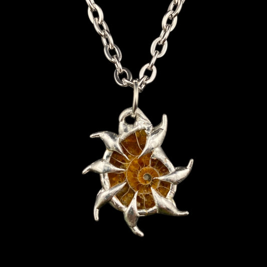 Ammonite Gea